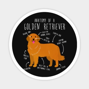 Golden Retriever Anatomy Magnet